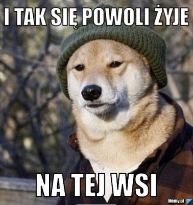 583c1055257_i_tak_sie_powoli_zyje.jpg
